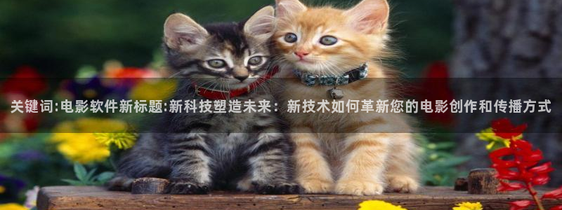 神马电影第六