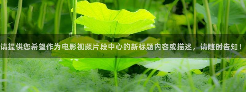 神马电影日韩麻豆91爱爱