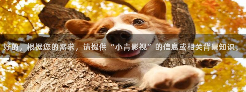 91名站神马电影
