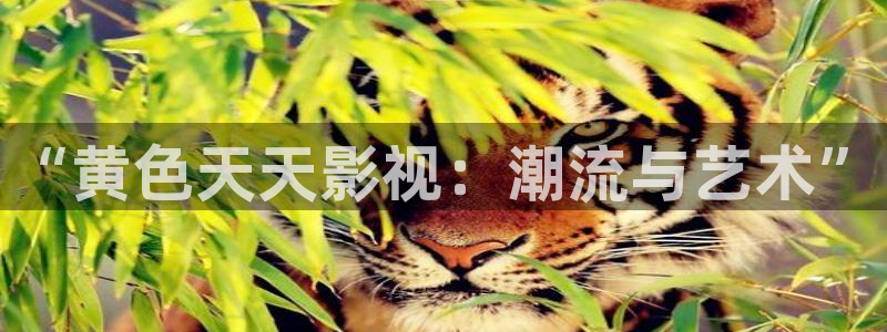 姐姐的朋友2神马影院