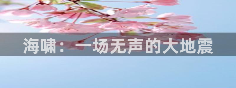 神马6080伦理