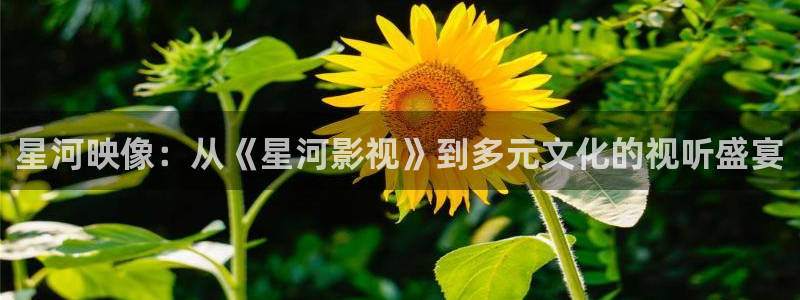 97夏同学神马影院