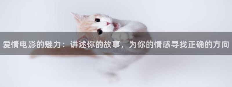 神马电影网琪
