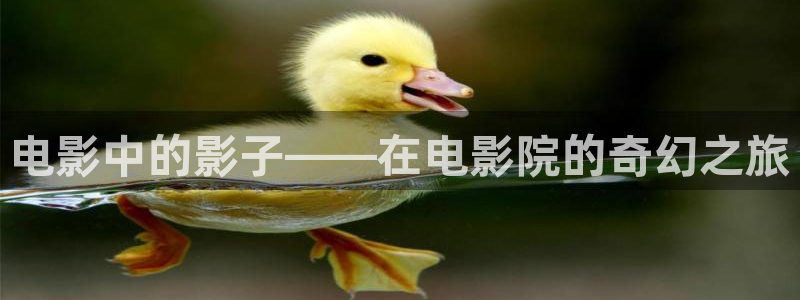 神马影院在线限制