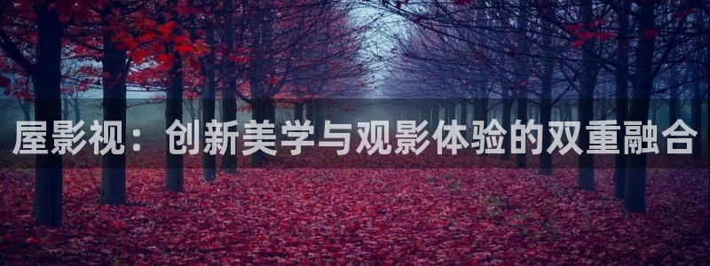 神马电影在线视频：屋影视：创新美学与观影体验的双重融合