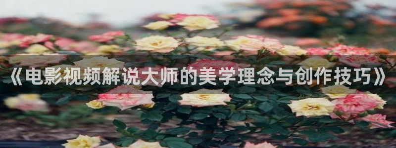 神马午夜电影在线免费观看：《电影视频解说大师的美学理念与创作技巧》