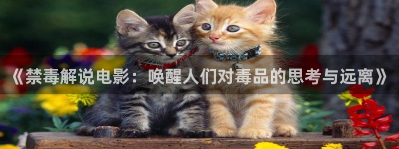 神马伦理福利：《禁毒解说电影：唤醒人们对毒品的思考与远离》