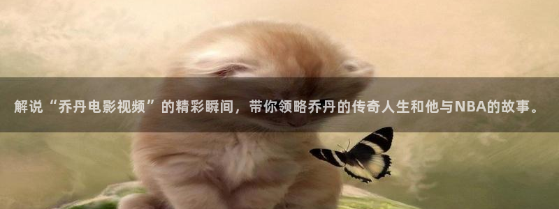 神马手机在线电影：解说“乔丹电影视频”的精彩瞬间，带你领略乔丹的传奇人生和他与NBA的故事。