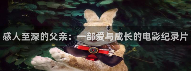 神马影院达达兔影院在线观看