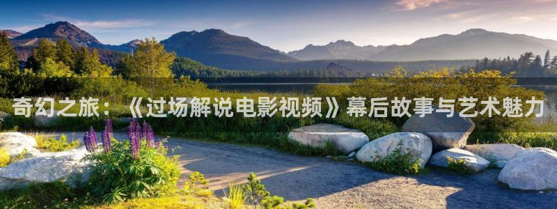 神马电影未来