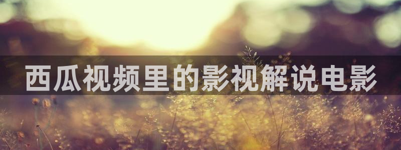 神马达达兔影视在线电视免费观看