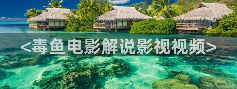 神马伦理午夜影院