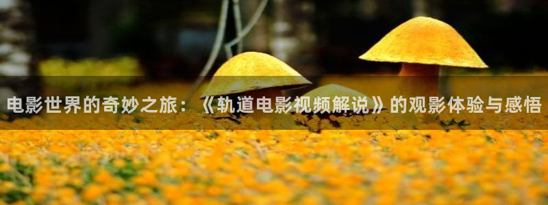 神马电影院网不卡