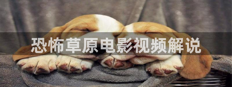 神马电影网一级片