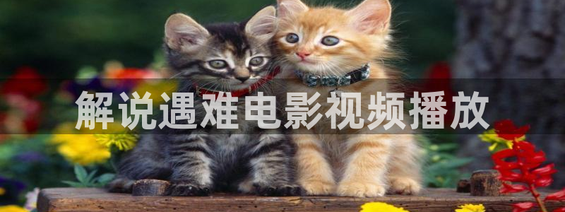 pk电影天堂神马影院