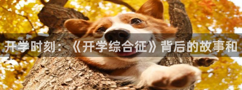 神马电影电影神马
