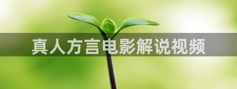 神马电影手机免费在线观看电影