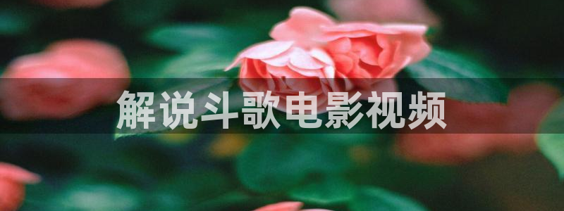 新视觉神马电影