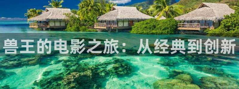 韩国神马伦理在线观看