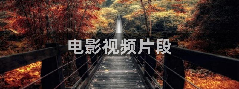 论理神马影院