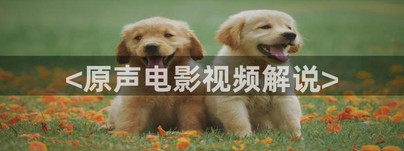 达达兔第九神马电影网