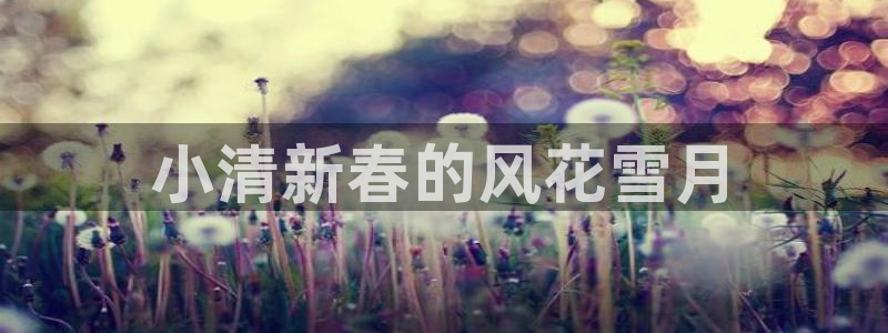 神马老子伦理影院