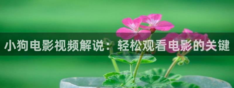 第九影视神马超神影院