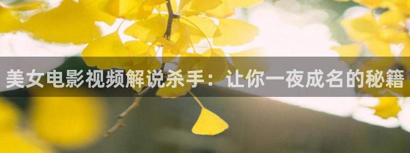 神马网址电影