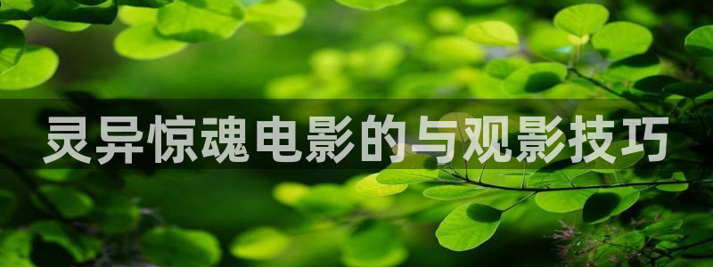 神马影院楚汉传奇