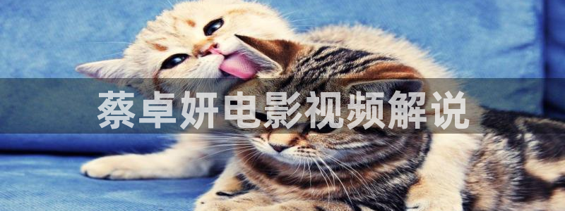 神马影院最新在线观看