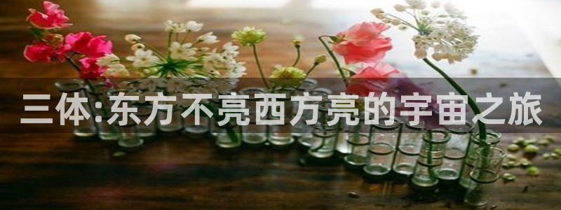 神马影院伦理网