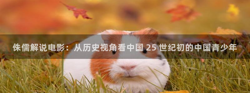 神马影院午夜伦理在线观看