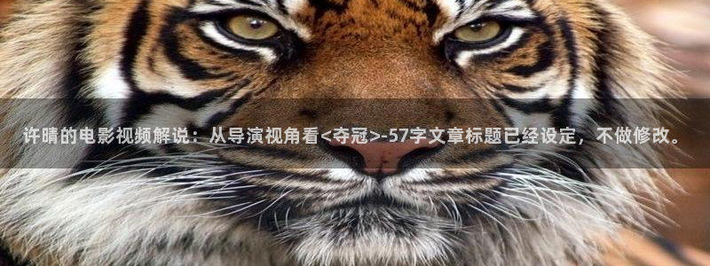 神马推理电影在线免费观看