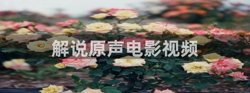 神马午夜影院免费