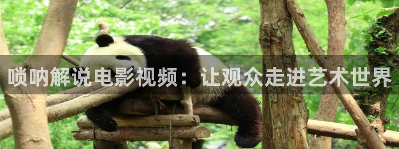 神马电影网老子影视