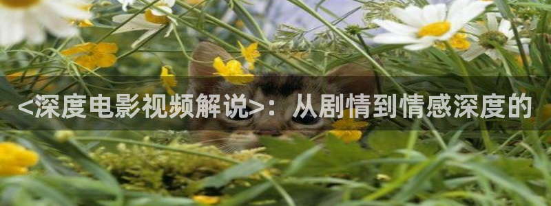 第九神马电影网