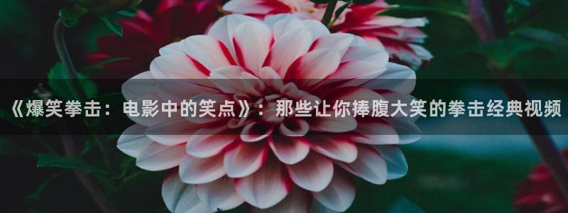 神马电影我的邻居