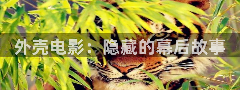 神马影院韩国伦理片
