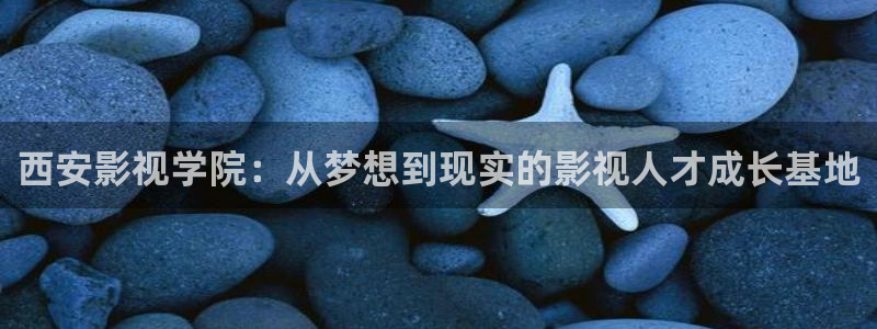 神马日韩午夜影院