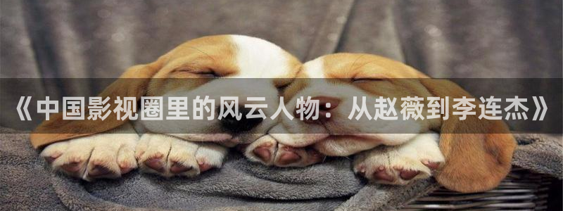 神马电影我不卡电影