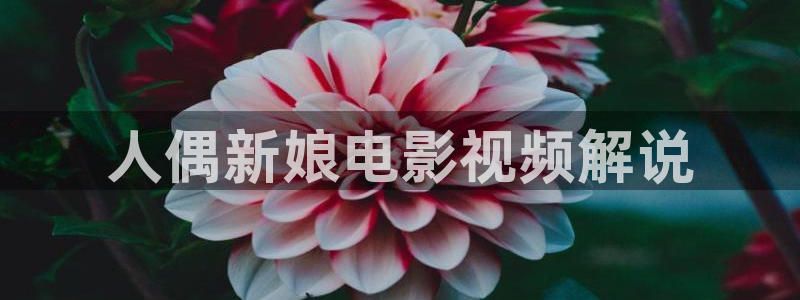 神马网神马影院