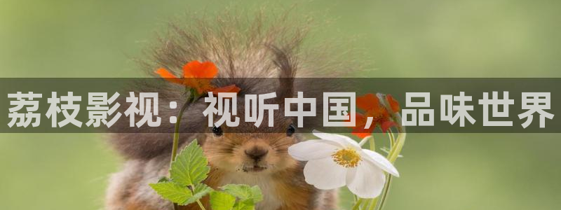 神马影院伦不卡