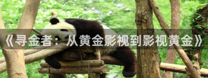 神马影院第九影院y