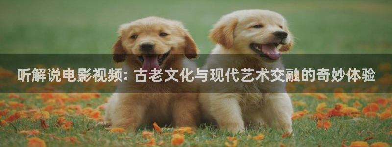 神马不卡影视