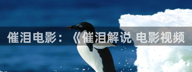 神马不影院