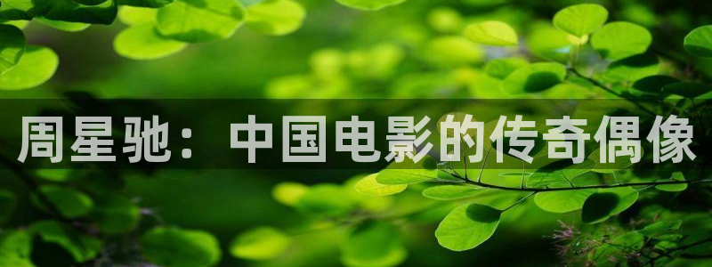 好男人在线观看神马影视www
