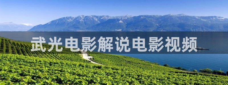 神马影视我不卡在线：武光电影解说电影视频