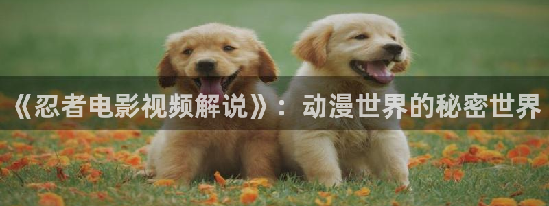 神马午夜三级电影