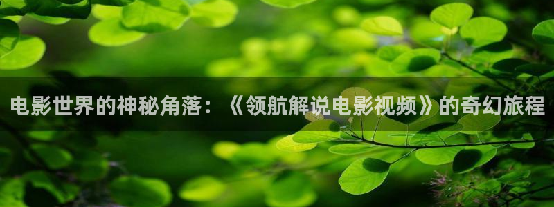 神马达达兔超超级影院午夜