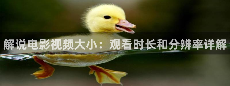 大地影院神马高清完整版中文